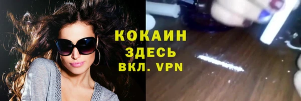 крисы Ростов