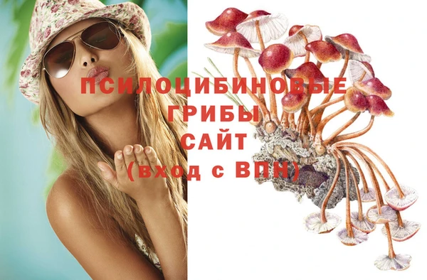 ПСИЛОЦИБИНОВЫЕ ГРИБЫ Гусиноозёрск