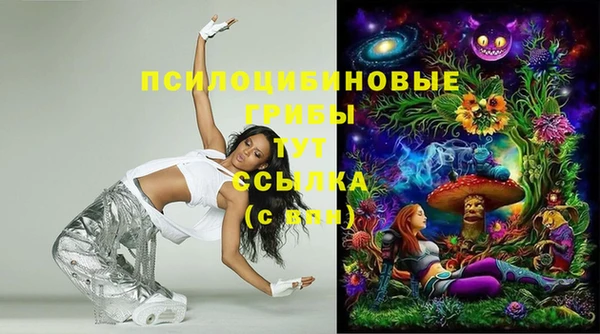 дмт Рославль
