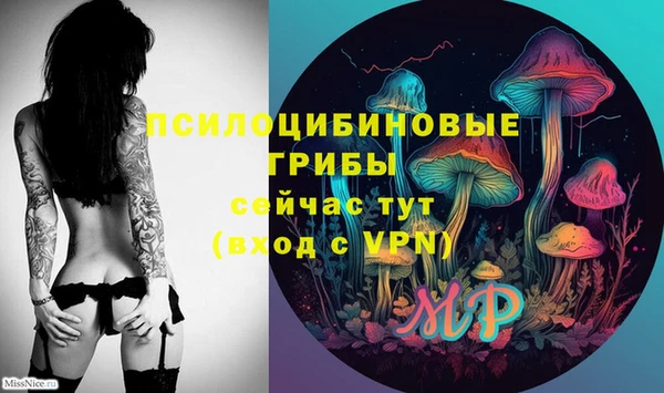 ПСИЛОЦИБИНОВЫЕ ГРИБЫ Гусиноозёрск
