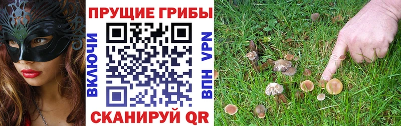 Галлюциногенные грибы Cubensis  Купить где  Константиновск 